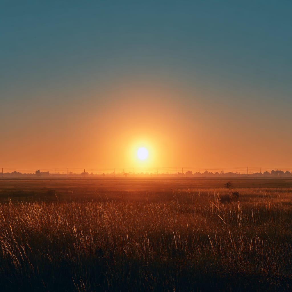 Sunrise over an open field where Jesus stands on Level Ground.