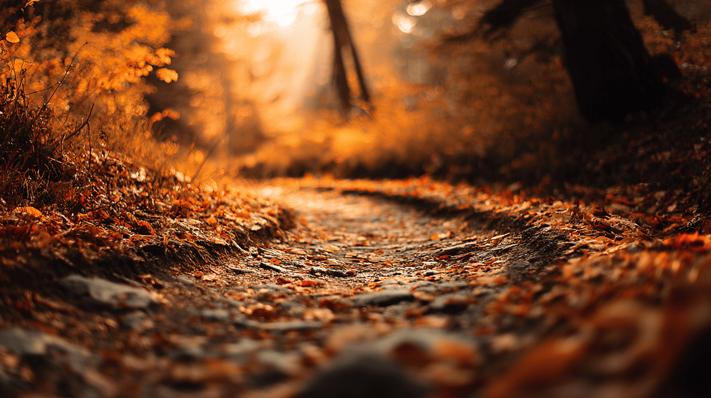 Autumn forest path covered with orange leaves.